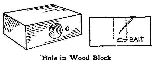 Hole In Wood Block