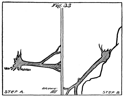 Figure 33: Two fallen trees.