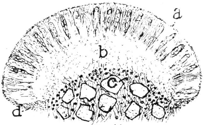 Fig 10