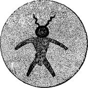 drum head ass described in text