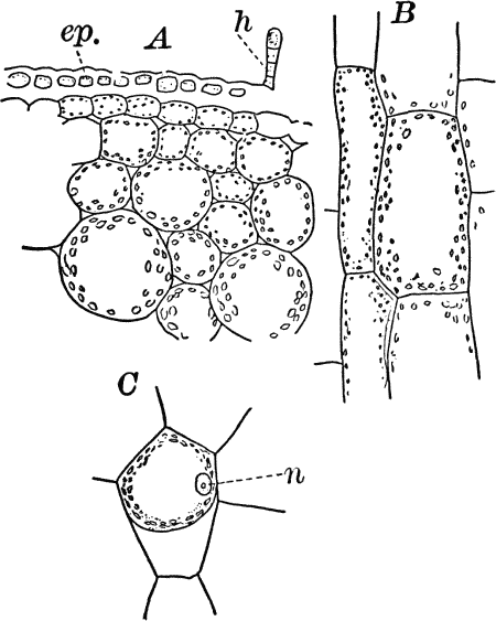 Fig. 4.