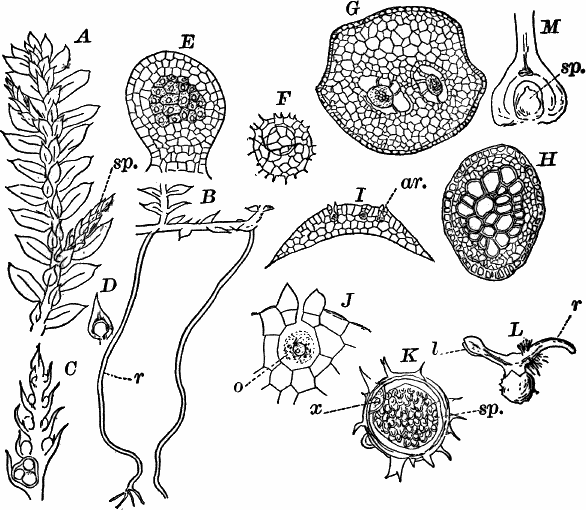 Fig. 74.