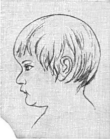 AGE 12 MONTHS.

From a Drawing.
