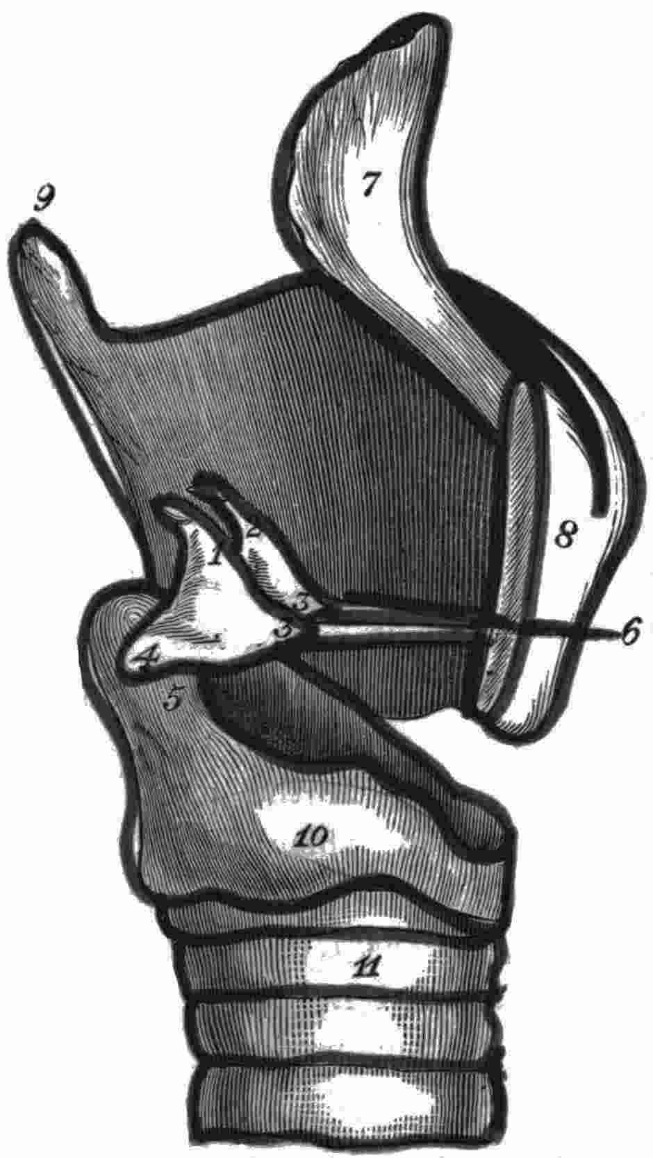 image not available