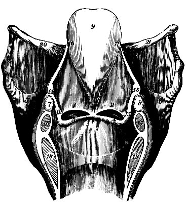 image not available