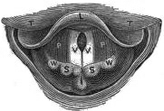 image not available