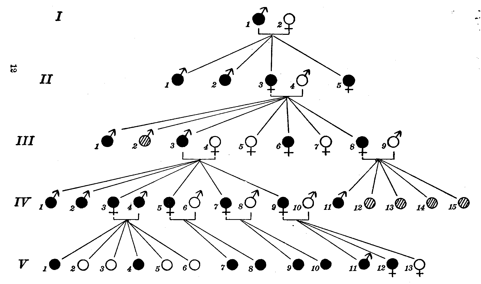 Fig. 20.