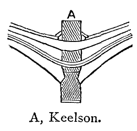 Keelson.