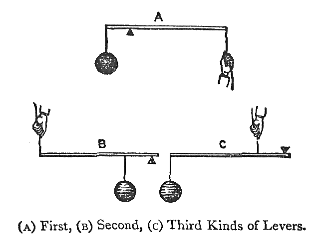 Kinds of Levers.