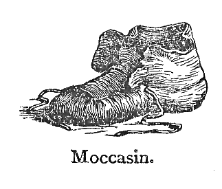 Moccasin