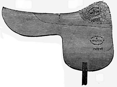 A saddle