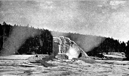 THE GIANT, AT UPPER GEYSER BASIN