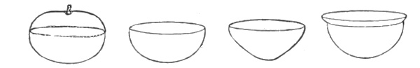Fig. 210