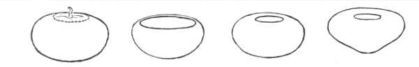Fig. 211