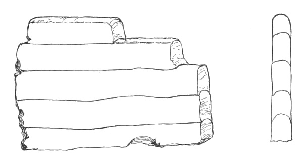 Fig. 219