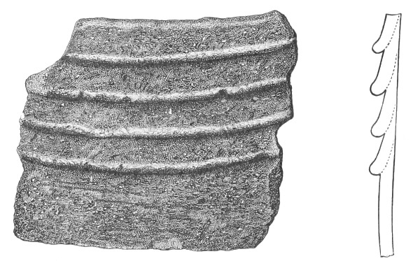 Fig. 220