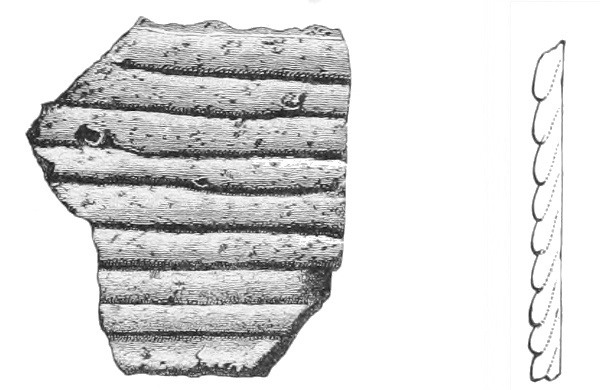 Fig. 221