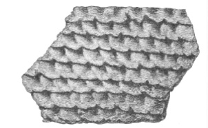 Fig. 226