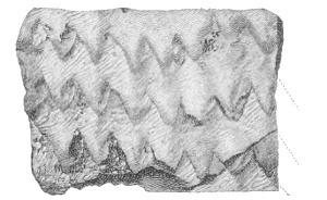 Fig. 227