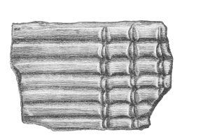 Fig. 229