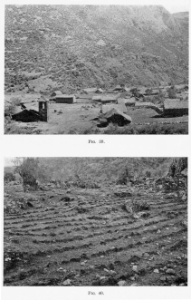 Fig. 39—Huichihua, near Chuquibambilla, a typical
mountain village, in the valleys of the Central Ranges, Peruvian Andes.