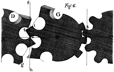 Shape of teeth