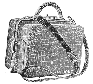 TN: Anthony's Patent Satchel Detective Camera.