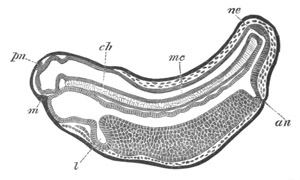 Illustration: Figure 76