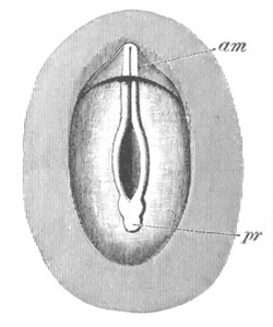 Illustration: Figure 129