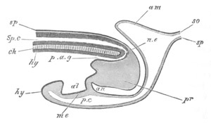 Illustration: Figure 177