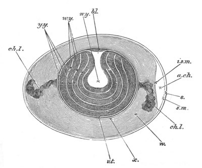 Illustration: Figure 87