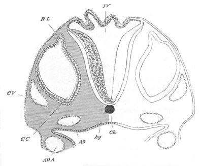 Illustration: Figure 114