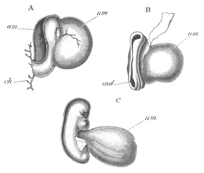 Illustration: Figure 165