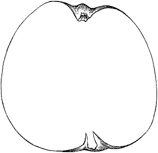 Ord’s Apple