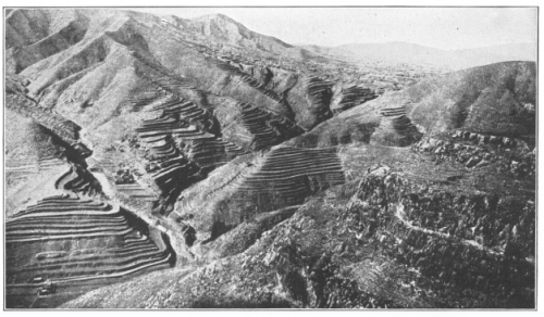 Rice Terraces in China. In many regions where the forests
have been destroyed and all the soil washed into the valleys,
agriculture has to be carried on under conditions of great difficulty.
Soil is brought up these slopes and held there by the artificially made
terraces. (Photo by Bailey Willis. Courtesy of Brooklyn Botanic
Garden.)