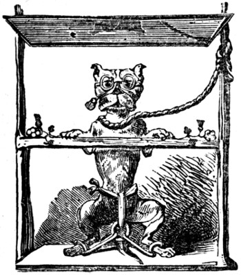 dog on trial