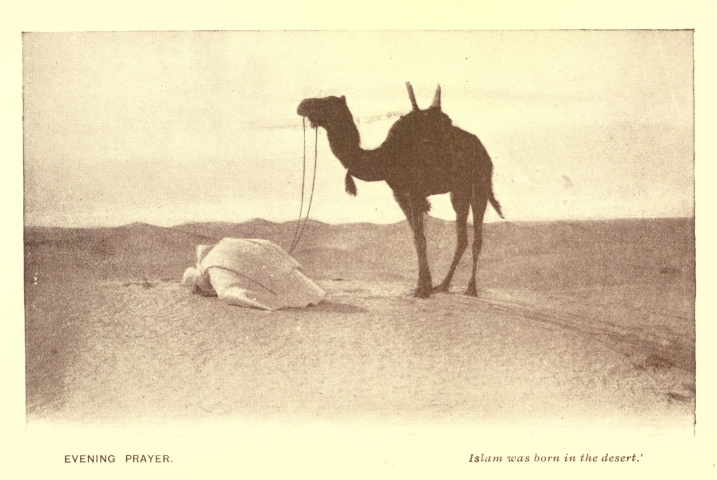 EVENING PRAYER. '<i>Islam was born in the desert.</i>'