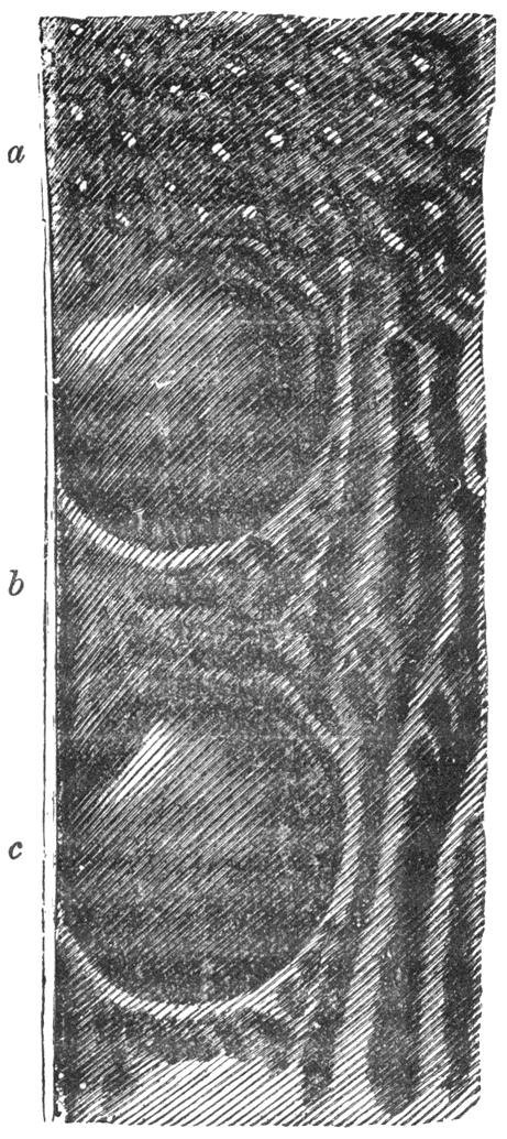 Fig. 58.