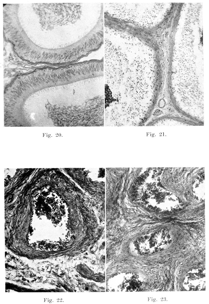 Fig. 20. Fig. 21. Fig. 22. Fig. 23.