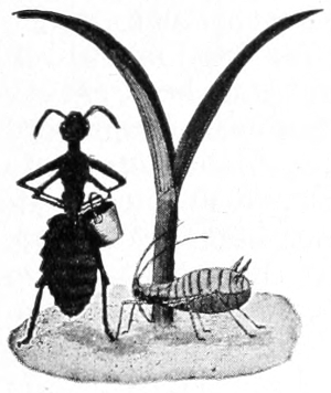 V