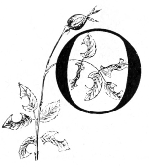 O