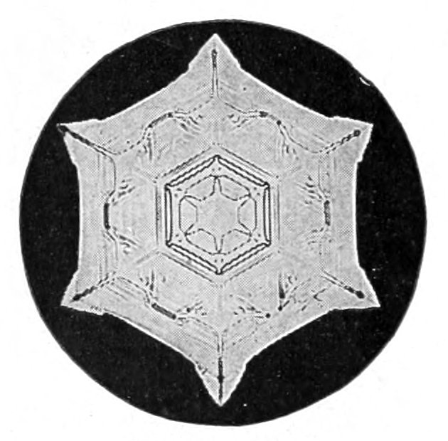 Snow crystal