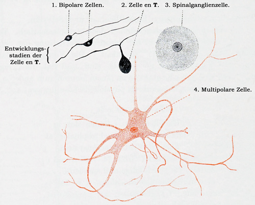 Fig. 84.